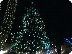The "Town Christmas Tree" after lighting.