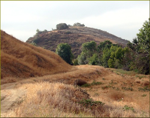 Carriage Trail, Redlands 5-19-13a